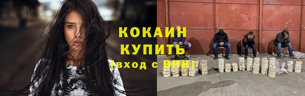 ПСИЛОЦИБИНОВЫЕ ГРИБЫ Арсеньев