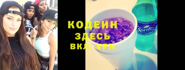 ПСИЛОЦИБИНОВЫЕ ГРИБЫ Арсеньев